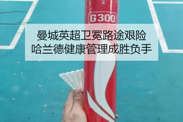 man-cheng-ying-chao-wei-mian-lu-tu-jian-xian-ha-lan-de-jian-kang-guan-li-cheng-sheng-fu-shou-3-569.jpg