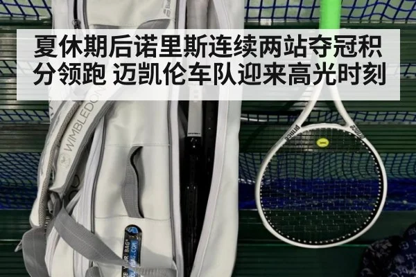 夏休期后诺里斯连续两站夺冠积分领跑 迈凯伦车队迎来高光时刻 - 6686.com